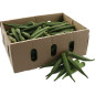 OKRA-LADY FINGER-GOMBO 2KG